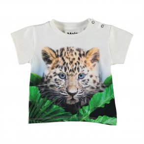 Molo T-shirts SS, Emilio/Jungle Cub