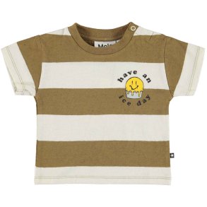 Molo T-shirt, Enzo/Oak Stripe