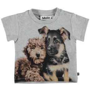 Molo T-shirt, Emilio/Pups Mates