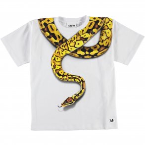 Molo T-shirt SS, Rillo/Charmer