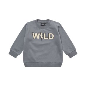 Petit by Sofie Schnoor Sweatshirt, Hannibaal/Dusty blue