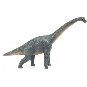 Mojo Brachiosaurus