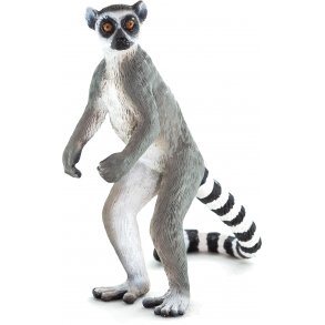 Mojo Ringtail Lemur