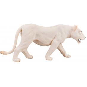 Mojo White Lioness
