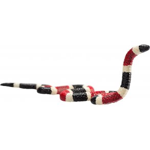 Mojo Coral Snake