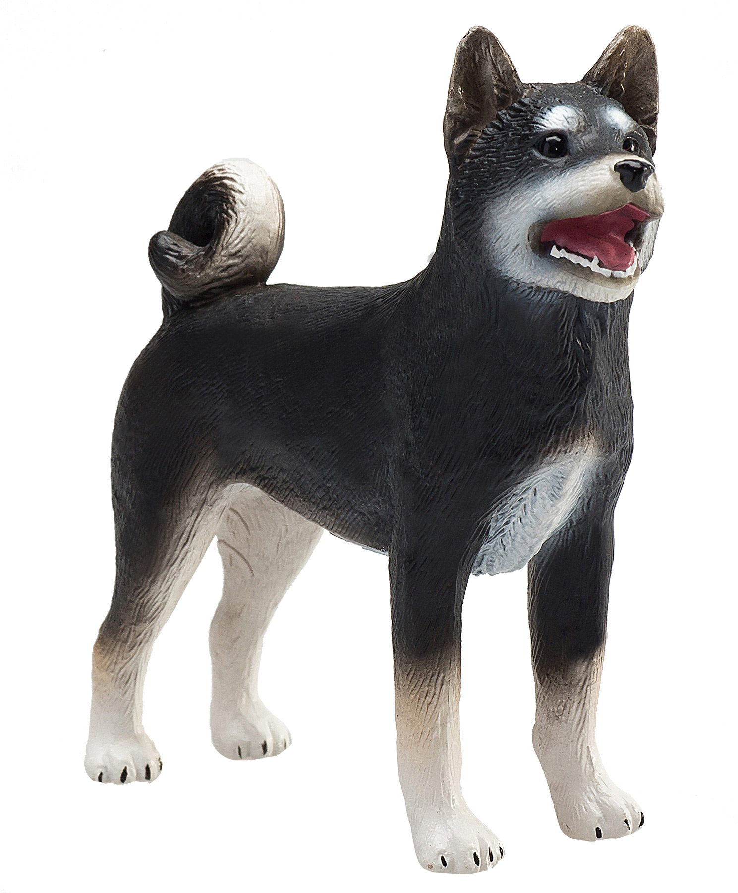dominere midler Afdeling Mojo Shiba Inu hund, sort - Mojo - Lillelykke