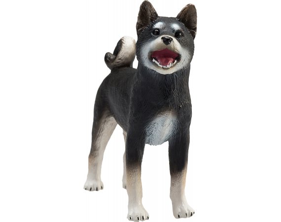 Schwarz Hund, - Inu Shiba Mojo Mojo