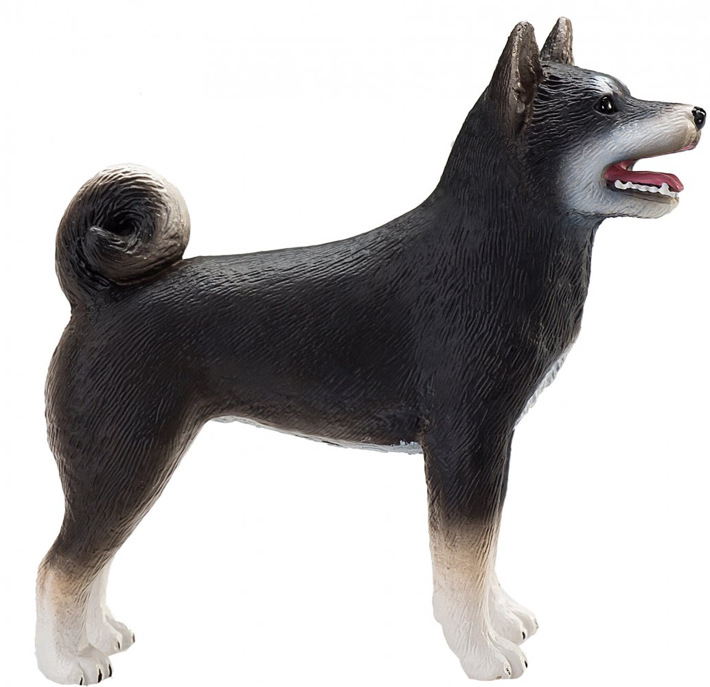Mojo Mojo Shiba Hund, Schwarz - Inu